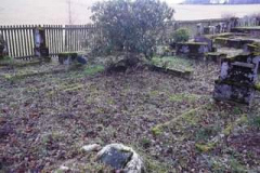 11262030_549348871902763_1010188377993616608_o