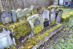 12440596_549349631902687_2943207557679731483_o