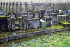 12719495_549349565236027_8937012232133812462_o