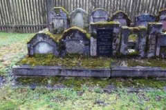 886078_549349411902709_6371975087990462556_o